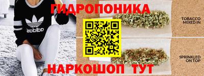mix Гусиноозёрск