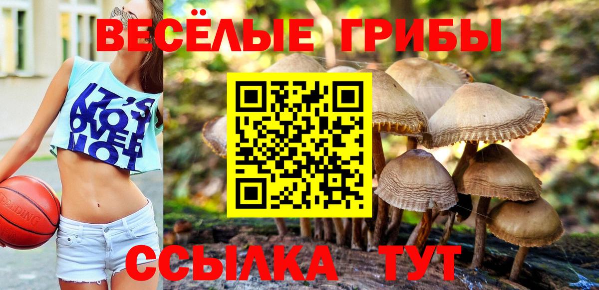 Галлюциногенные грибы Magic Shrooms  Псилоцибиновые грибы ЛСД  Ногинск  Вход с VPN 
